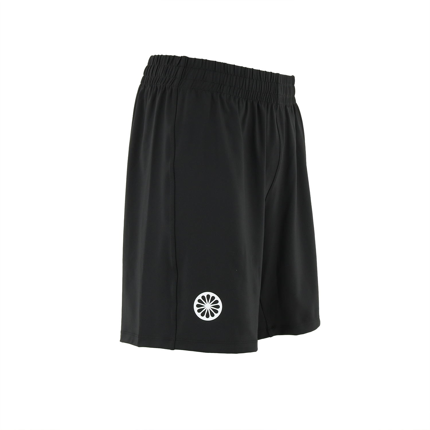 Lucknow sr goalie short